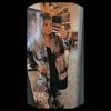 ashlynnehood